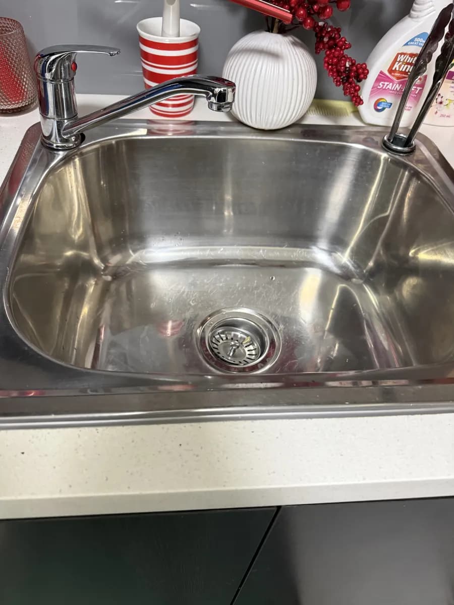 Cleaning Tips for Pet Owners: Hair, Odours and Accidents
