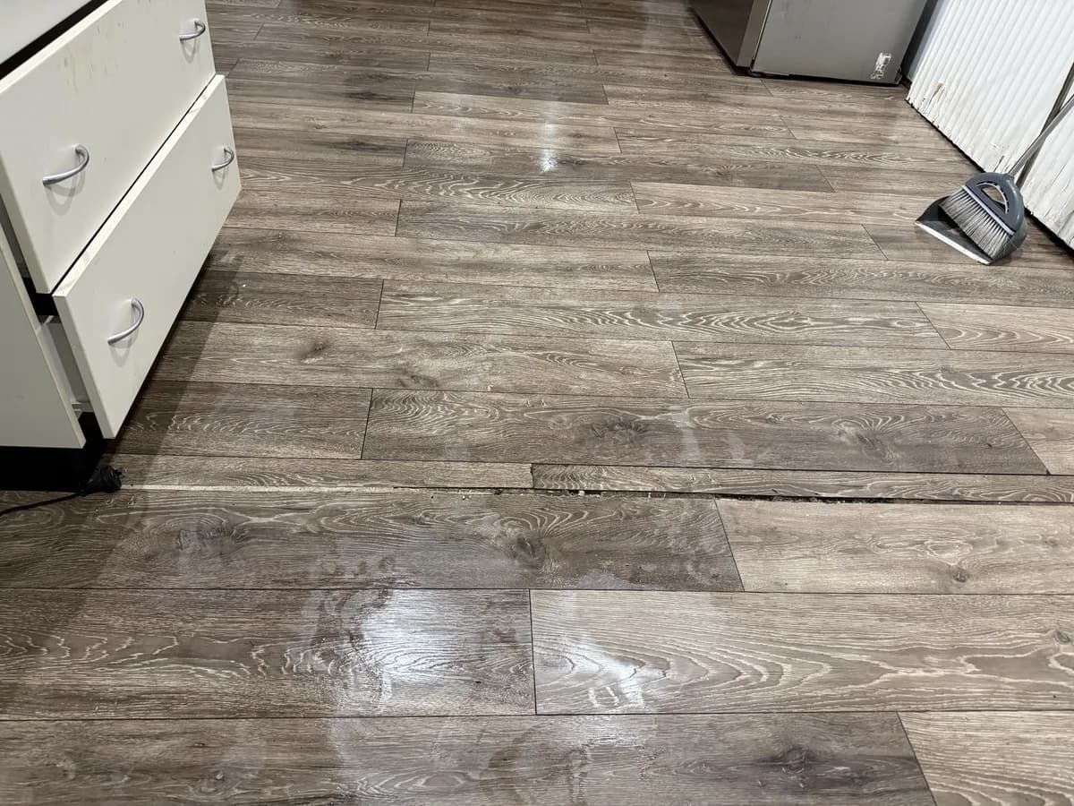 Why the JNB Guarantee Makes Us Lansvale’s Most Trusted Cleaners